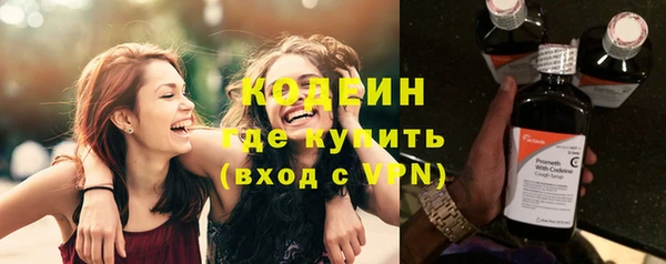 стаф Вяземский