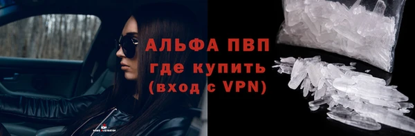 стаф Вяземский