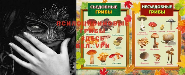 прущий лед Вязьма