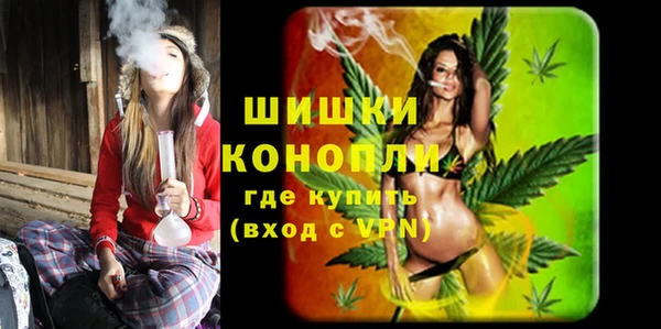 сатива Горно-Алтайск