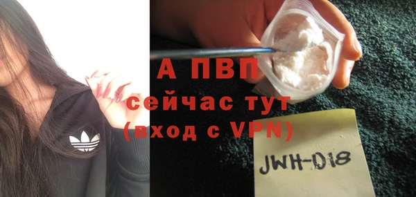 стаф Вяземский