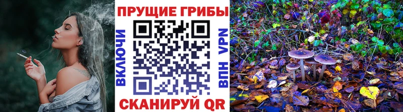 где купить   Красноярск  Галлюциногенные грибы Psilocybine cubensis 